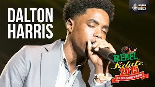 Dalton Harris  Live at Rebel Salute 2015 [upl. by Ayo]