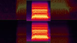 The scariest sound in the world [upl. by Ranchod866]