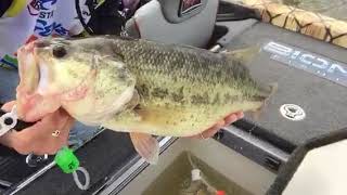 FLW Pro Kyle Cortiana puts a Monster Bass on the ClipNCull 20 [upl. by Avis]