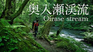 4K 奥入瀬渓流 石下戸から十和田湖9kmの新緑トレイル｜Hiking Oirase stream in Aomori [upl. by Imerej343]