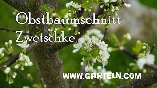 Obstbaumschnitt für Zwetschke im Jänner und Februar [upl. by Galen]