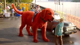 The Red Dog Thats Bigger Than an Elephant Becomes a Hero movie [upl. by Ennovahs]