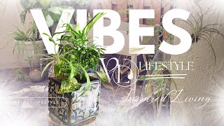 VL◇TV GARDEN MAKEOVER PART II 🌿 plants garden greenliving [upl. by Sausa512]