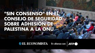 quotSin consensoquot en el Consejo de Seguridad sobre adhesión de Palestina a la ONU [upl. by Esinnej]