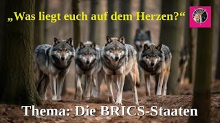 Die BRICSStaaten [upl. by Esadnac]