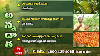 11th October 2024  Annadata  అన్నదాత  Full Episode  ETV Telugu [upl. by Vyner]