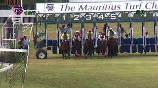 The Mauritius Guineas Cup  Alyaasaat  NJuglall [upl. by Alilak928]