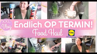 FOOD HAUL OP TERMIN BACKEN NEUE MÖBEL VLOG Fräulein Jasmin [upl. by Aneram]