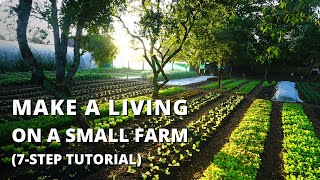 How to Start a Farm From Scratch Beginners Guide to Growing Vegetables for Profit [upl. by Evets]