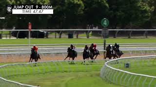 Flemington Jump Outs 17 Nov 2023 Jump Out 9 [upl. by Stockwell588]