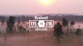 Bushnell Engage vs Vortex Viper Nikon Prostaff and Monarch Riflescopes [upl. by Ahsetal]