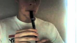 quotConcerning Hobbitsquot on Tin Whistle [upl. by Nirrat]