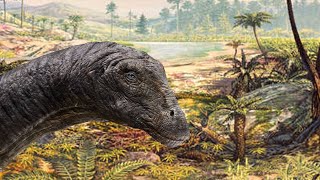 Apatosaurus Facts You Didn’t Know [upl. by Drobman721]