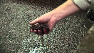 How to make Port wine Fermentation amp Fortification [upl. by Hollander658]