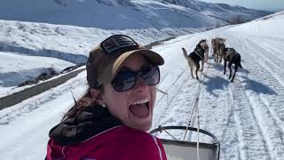 Mendenhall Glacier Dog Sledding amp Helicopter Tour  Juneau Alaska [upl. by Fred993]