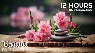 Ultimate Healing Spa Music for Relaxation and Meditation [upl. by Vadnee870]