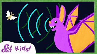 How Do Bats See with Sound  Echolocation  Amazing Animal Senses  SciShow Kids [upl. by Neersin]