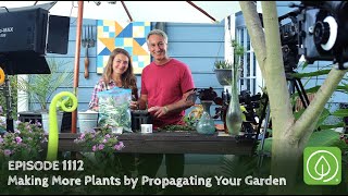 Growing a Greener World Episode 1112 Making More Plants by Propagating Your Garden [upl. by Thisbee]