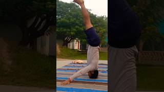 Mukta Hasta Sirsasana sirsasana yogapractice headstand headstandvariation yoga yogaposeyt [upl. by Analle]