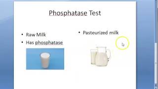 PSM 696 Phosphatase Test Milk Pasteurization Pasteurized [upl. by Aninat]