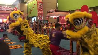 PreCNY 2024  Acrobatic Lion Dance by 光藝 Kwong Ngai at Tastefully Food Expo Mid Valley [upl. by Vary]