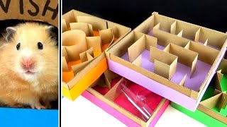 5level Maze for Hamsters Who is the BEST [upl. by Jenness]