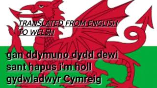 happy st davids day [upl. by Jahn]