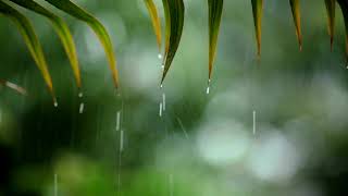 3 Hours Relaxing Sleep Music with Rain Sounds  Peaceful Music in the Warm Bedroom Stress Relief [upl. by Kcitrap]