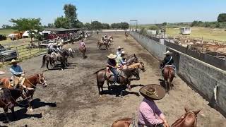 Coleadero lienzo charro los tocayos stockton ca [upl. by Keynes]