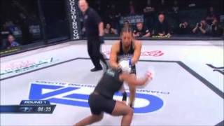 Fallon Fox Knockout [upl. by Dal774]