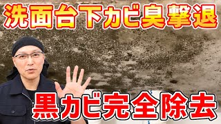 【カビ臭ゼロ】洗面台下に生えた黒カビ落としと防カビ対策でカビの臭いを完全に消し去る！ [upl. by Trilbi]