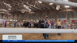 4H and Youth Fair brings agriculture education to St Clair County [upl. by Vasos]