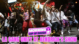 Kendrick Lamar Bring Gang Unity To LA During Historic Concert [upl. by Ahsenak756]