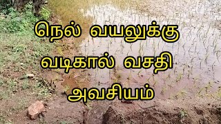 🌾💥 நெல் வயலுக்கு வடிகால் வசதி அவசியம் senganthalorganics agriculture organic paddy senganthal [upl. by Nylleoj569]