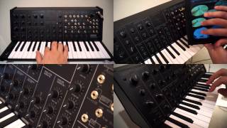 KORG MS20 mini SONG  All sounds are made with the MS20 mini by koishistyle [upl. by Enelehcim]