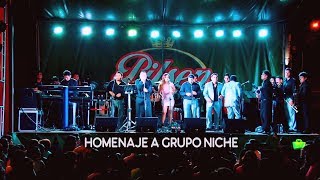 MIX NICHE EL MEJOR HOMENAJE SALSA LATINA EN VIVO ORQUESTA LA GRANDE 2019 [upl. by Ratna]