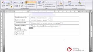 Microsoft Word Tutorial Deutsch Formulare [upl. by Peirce830]