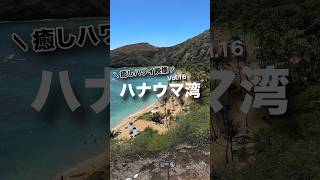 本日の 癒しハワイ 映像は ハナウマ湾 から！ ハワイ ハワイ気分 ハワイ旅行 hawaii hanaumabay oahu beach [upl. by Glori]