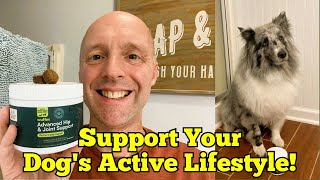 WUFFES DOG HIP amp JOINT SUPPLEMENT Review Improve Your Pups Mobility [upl. by Halsey]