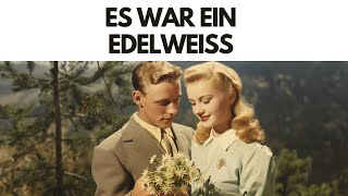 Es war ein Edelweiss Eng Lyrics [upl. by Ajnos]