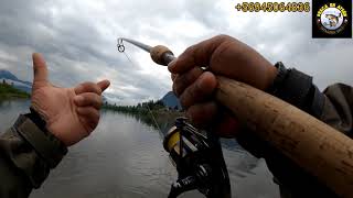 Pesca en Aysén como asegurar un buen enganche de un gran salmon Chinook [upl. by Eessej817]