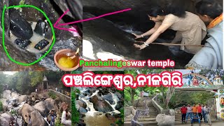 Panchalingeswar Temple Panchalingeswar Mandir Video NilagiriBalasoreOdishaIndia [upl. by Tlok970]