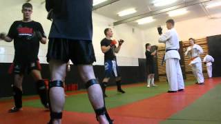 Kyokushin DBukowy seminar [upl. by Tierell]