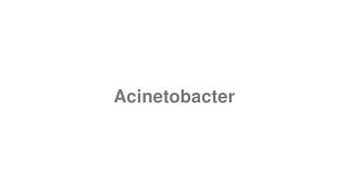 How to Pronounce quotAcinetobacterquot [upl. by Gershon818]