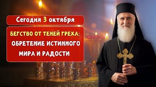 Бегство от теней греха обретение истинного мира и радости 🙏 [upl. by Adym34]