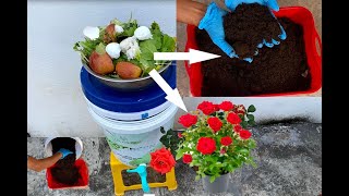 How to Make Compost at Home Kitchen Waste Composting Using a Plastic Bin [upl. by Conan705]