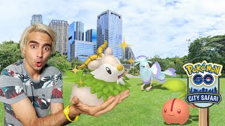 ¡NO PUEDO CREER QUE SAQUE ESTE SHINY 100CITY SAFARI SAO PAULOPOKÉMON GO [upl. by Ultima]