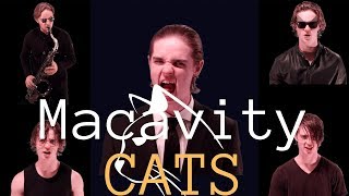 Macavity Cover Cats Cover by Jared Atkin [upl. by Vinia]