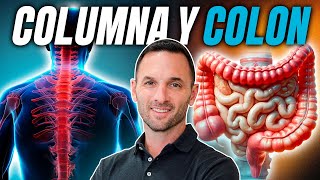 ¿Sufres de dolor lumbar El problema está en tu INTESTINO ¡No en tu columna 😨 [upl. by Dachi370]