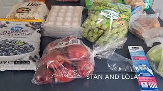 WALMART GROCERY HAUL  WHAT I GOT FOR 19825  RISING PRICES  ONTARIO CANADA 10262024 [upl. by Adnuhsed]